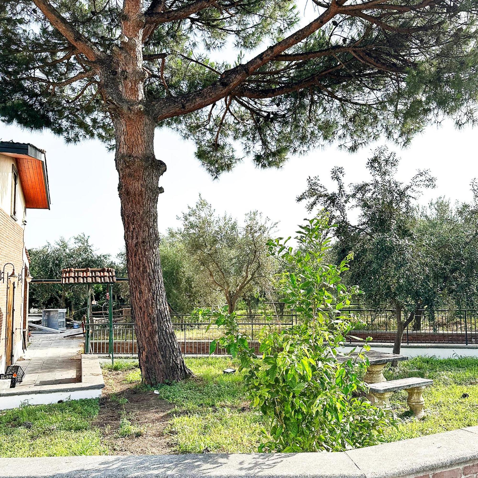 Tenuta Nunziata - Food, Event, Biofarm Torre Annunziata Exterior photo