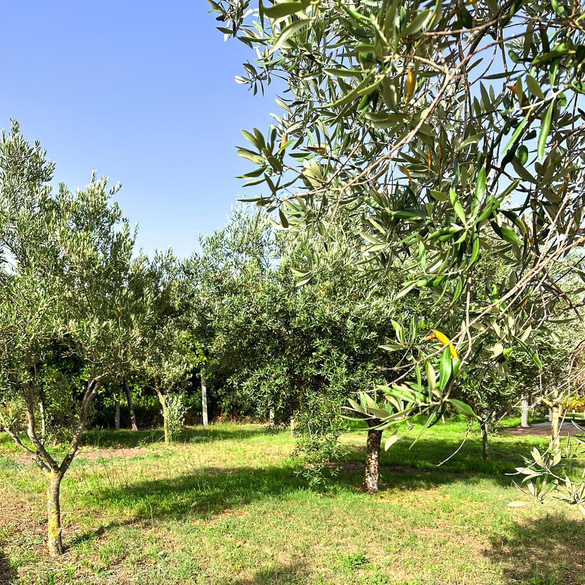 Tenuta Nunziata - Food, Event, Biofarm Torre Annunziata Exterior photo